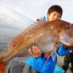 鯛紅丸 釣果
