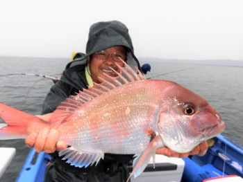鯛紅丸 釣果