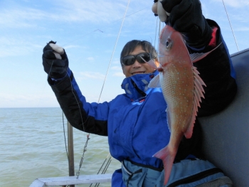 鯛紅丸 釣果