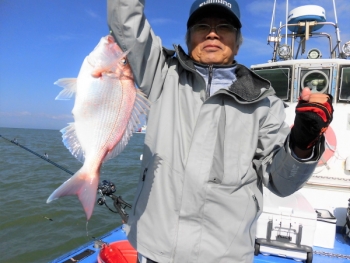 鯛紅丸 釣果