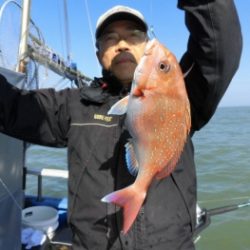 鯛紅丸 釣果