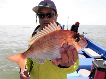 鯛紅丸 釣果