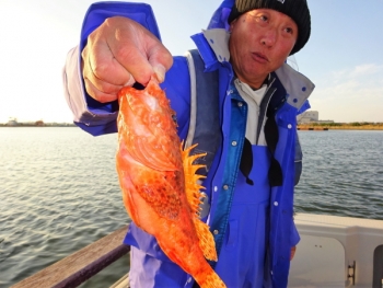 鯛紅丸 釣果