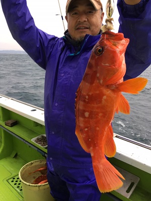 松栄丸 釣果