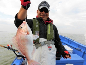 鯛紅丸 釣果