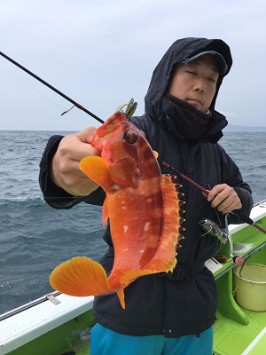 松栄丸 釣果