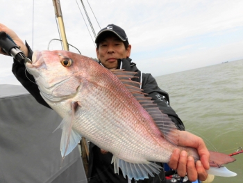 鯛紅丸 釣果