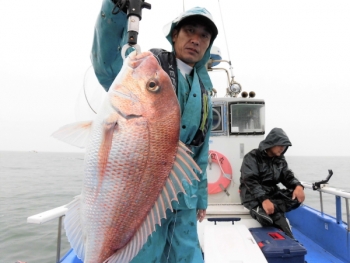 鯛紅丸 釣果