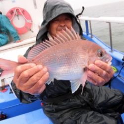 鯛紅丸 釣果