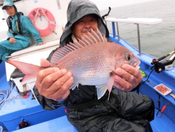 鯛紅丸 釣果