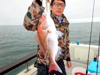鯛紅丸 釣果