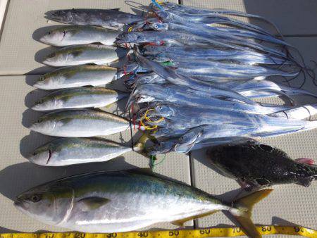 Hit Rush(ヒット ラッシュ) 釣果