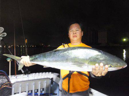 Hit Rush(ヒット ラッシュ) 釣果