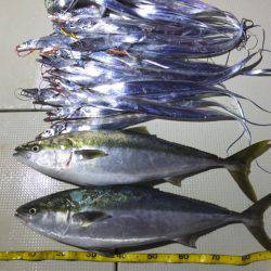 Hit Rush(ヒット ラッシュ） 釣果