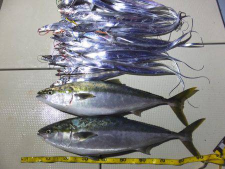 Hit Rush(ヒット ラッシュ） 釣果