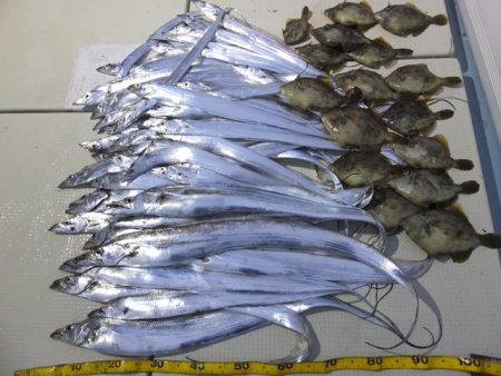 Hit Rush(ヒット ラッシュ） 釣果…