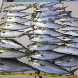 Hit Rush(ヒット ラッシュ） 釣果