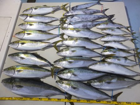 Hit Rush(ヒット ラッシュ） 釣果…