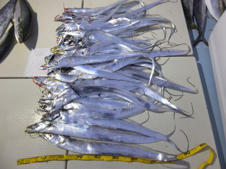 Hit Rush(ヒット ラッシュ） 釣果