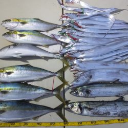 Hit Rush(ヒット ラッシュ) 釣果