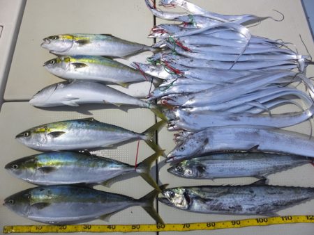 Hit Rush(ヒット ラッシュ） 釣果…