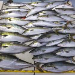 Hit Rush(ヒット ラッシュ) 釣果