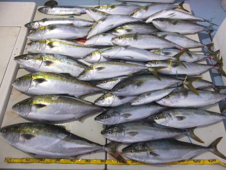 Hit Rush(ヒット ラッシュ） 釣果…