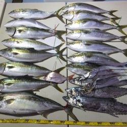 Hit Rush(ヒット ラッシュ） 釣果