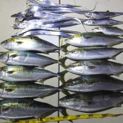 Hit Rush(ヒット ラッシュ） 釣果