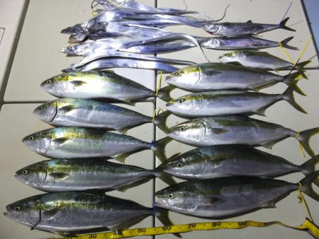 Hit Rush(ヒット ラッシュ） 釣果…