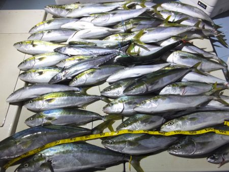 Hit Rush(ヒット ラッシュ） 釣果…