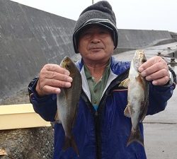 長七丸 釣果