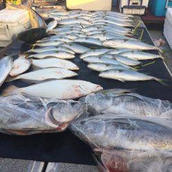 幸風（さちかぜ） 釣果