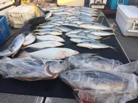 幸風（さちかぜ） 釣果