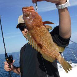 BlueNote Fishing Taxi 釣果