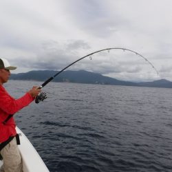 ＢｌｕｅＮｏｔｅ　Ｆｉｓｈｉｎｇ　Ｔａｘｉ 釣果