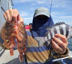 石川丸 釣果