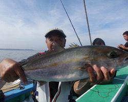 久里浜黒川本家 釣果