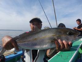久里浜黒川本家 釣果
