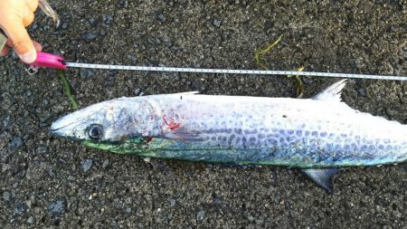 武庫一本日は５番が・・・