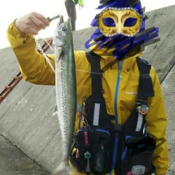 武庫一本日は５番が・・・