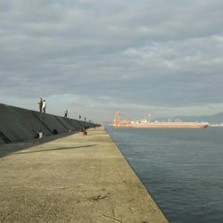 台風後の武庫一調査結果は