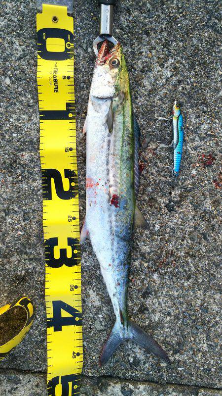 渋かったです。