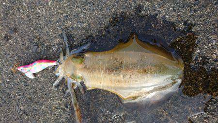 １時間半おきにポツン