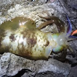 台風の後、仕事終わりに