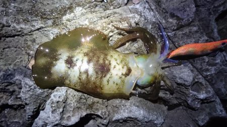 台風の後、仕事終わりに