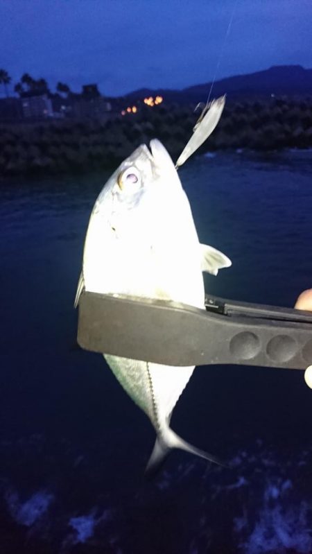 メッキゲーム好調❗