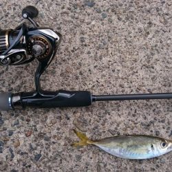 ライトソルト　エソ