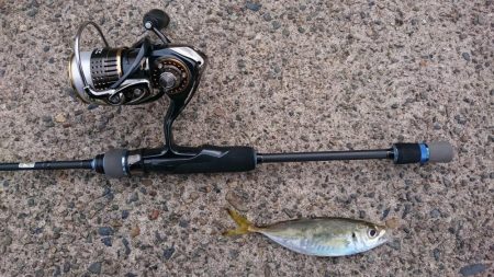 ライトソルト　エソ