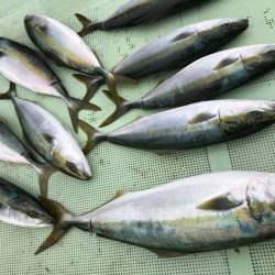 秋の鳴門大満足